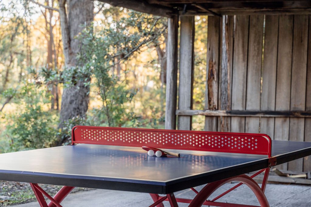 Holiday accommodation with a games room- Ping Pong