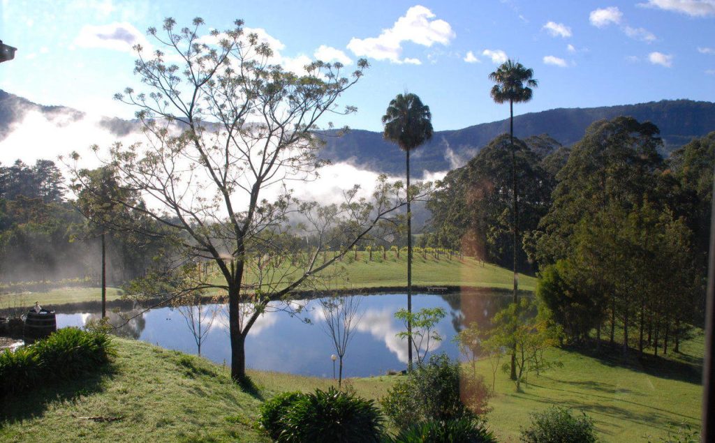 yarrawa estate winery 